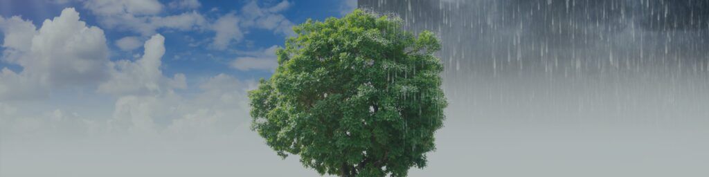 Spring forecasts change — Do you let market fluctuations drive your portfolio checks
