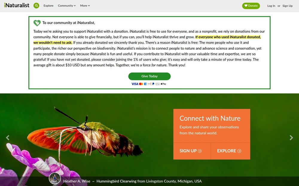 image of iNaturalist image of iNaturalist