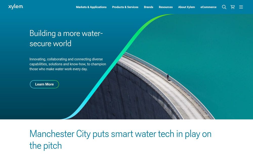 image of Xylem image of Xylem