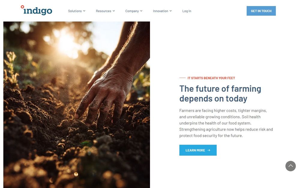 image of Indigo image of Indigo