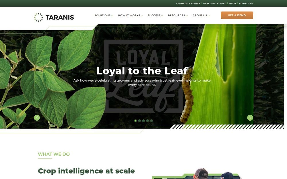 image of Taranis image of Taranis