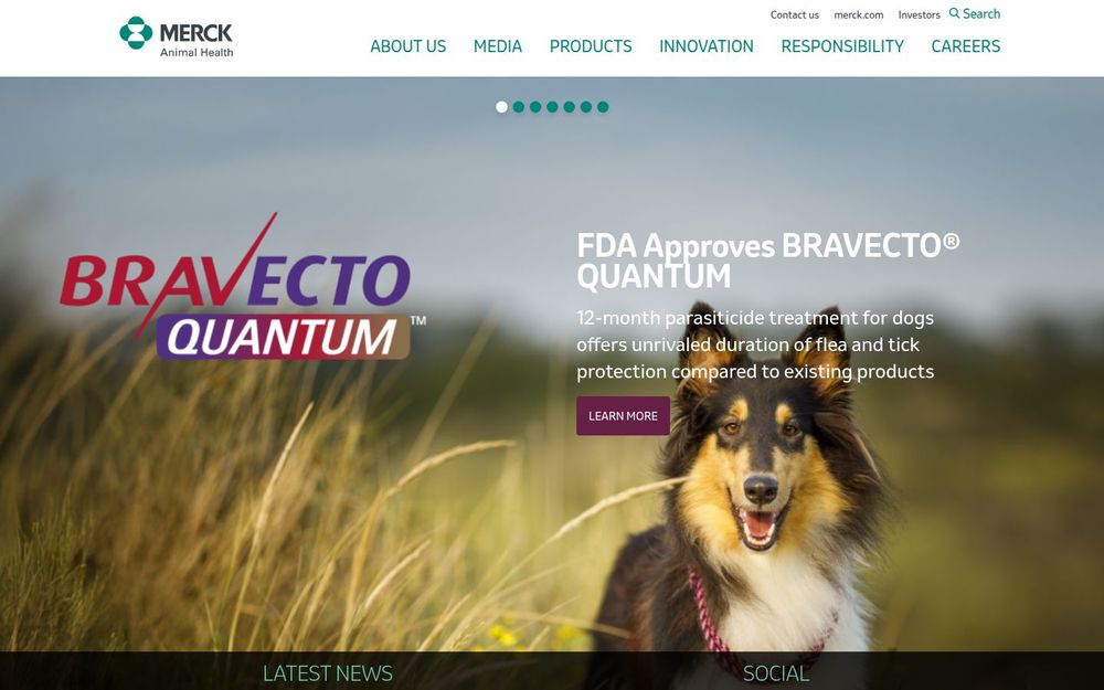 image of Merck Animal Health image of Merck Animal Health
