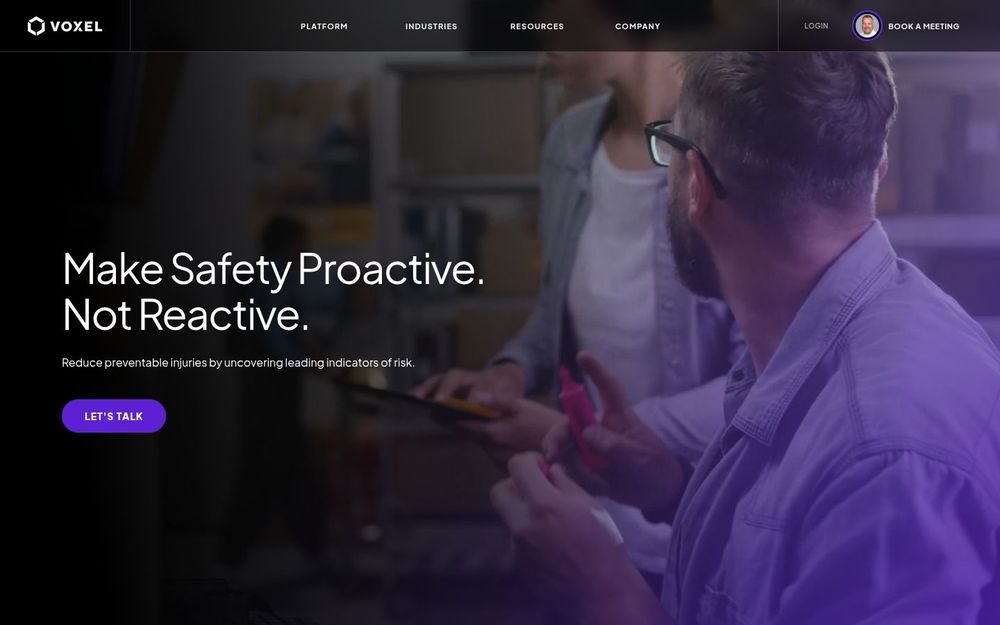 image of Voxel image of Voxel