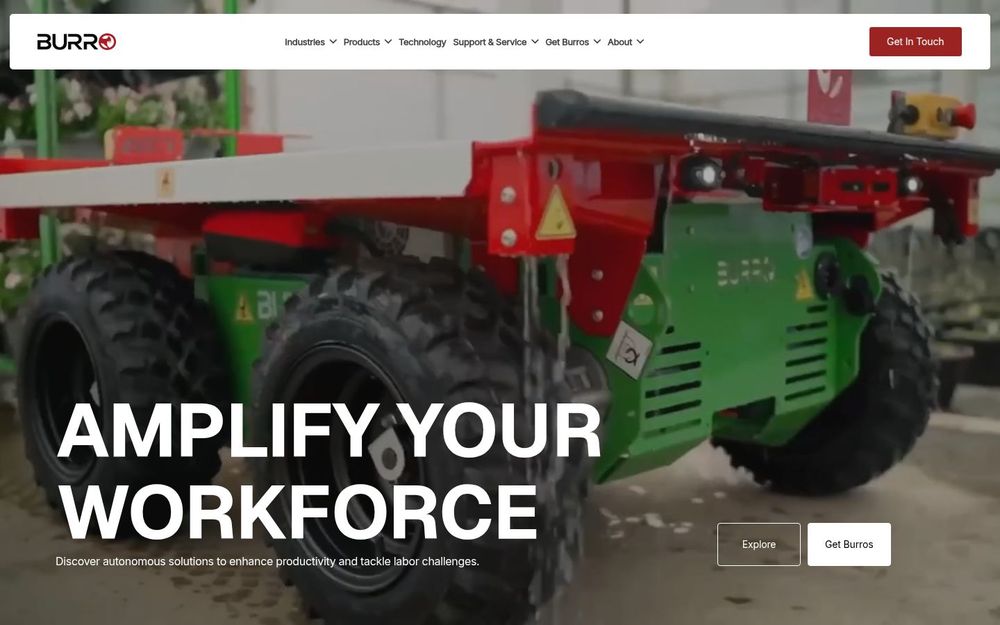 image of Burro image of Burro