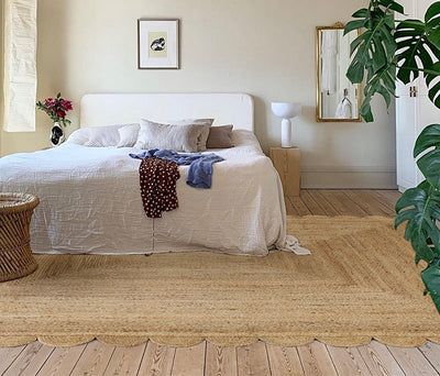 Scallop - Background Image