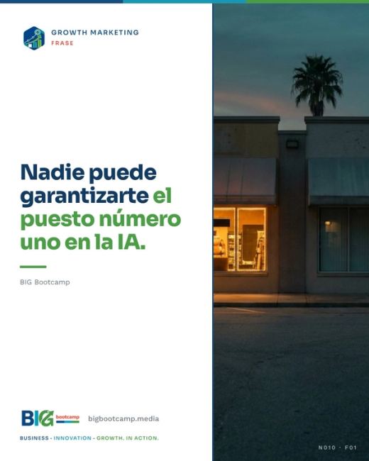 Nadie puede garantizarte el puesto número uno en la IA.