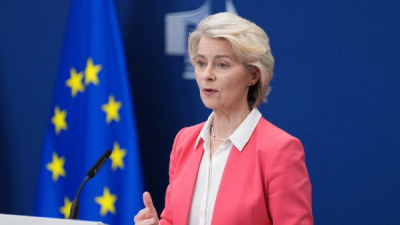 Does the EU's Special Panel Succeed in Charting a Third Path for Child Safety?