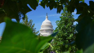 Google Ad Tech Remedies Show Need for Legislation