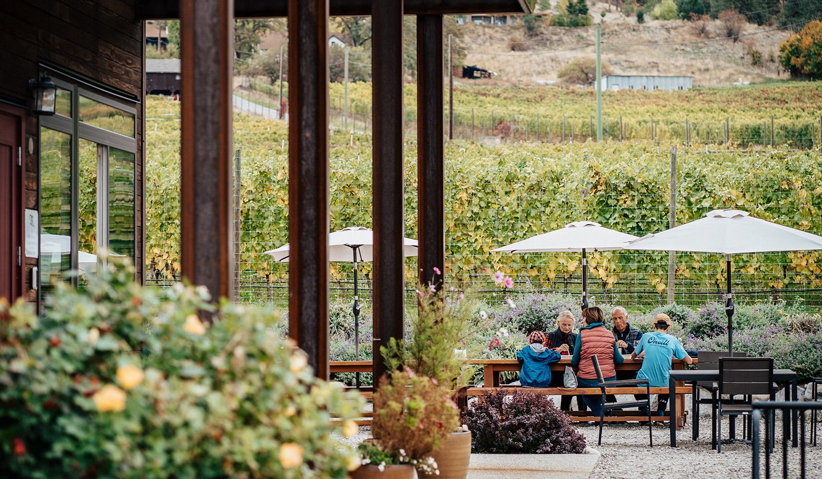 Guests gathered at the Roche Wines patio with views over the Naramata Bench vineyard