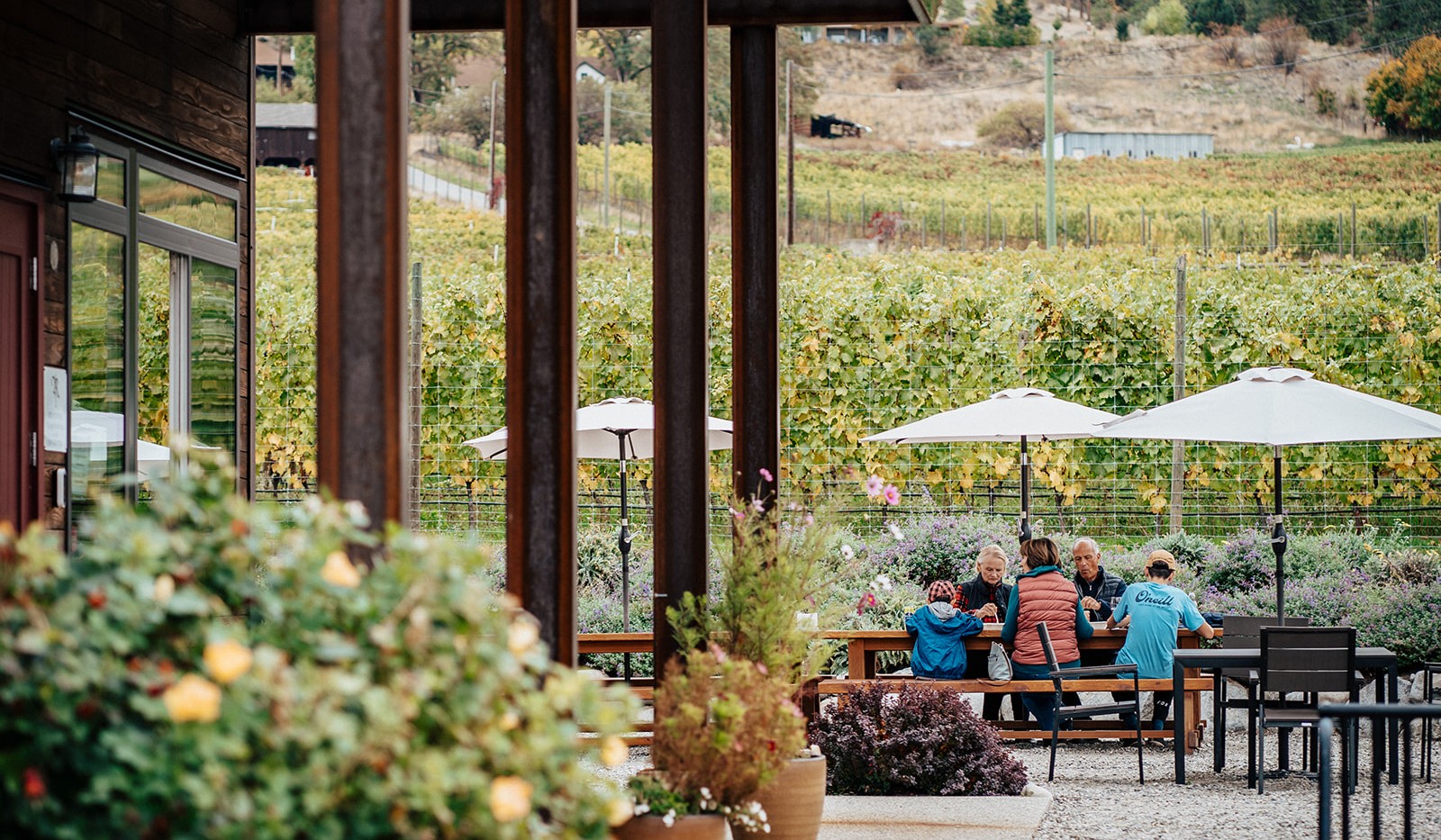 Guests gathered at the Roche Wines patio with views over the Naramata Bench vineyard