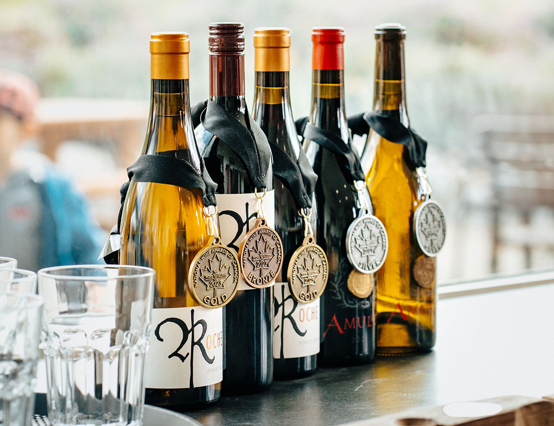 Tradition Pinot Gris 2020 and Tradition Pinot Noir 2018 silver medals