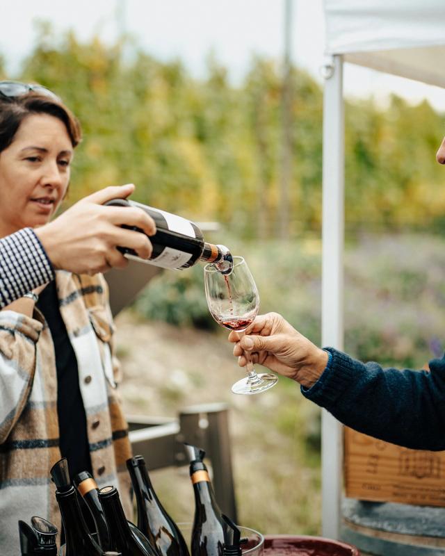 Texture Pinot Noir 2020