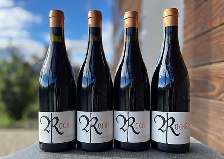 Pinot Noir: Past and Present tasting