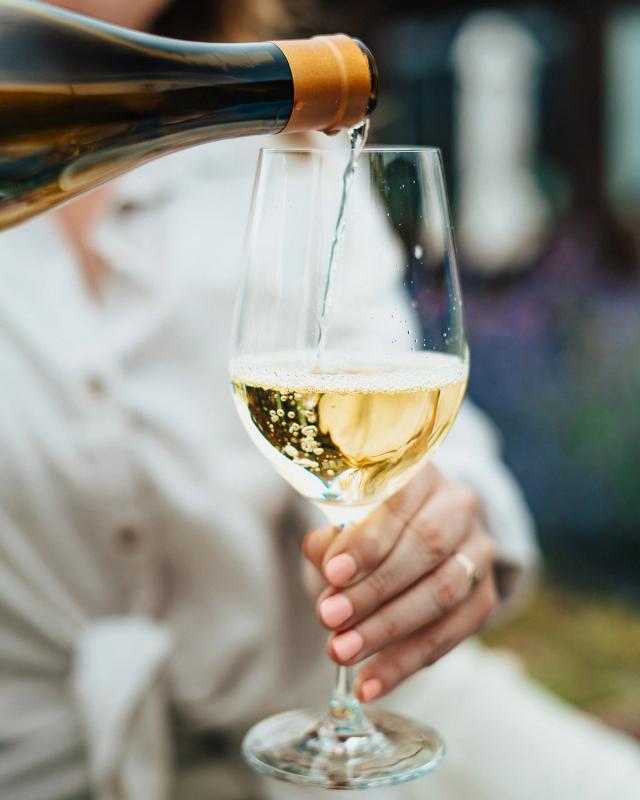 Pinot Gris 'Tradition' Willamette Valley 2024