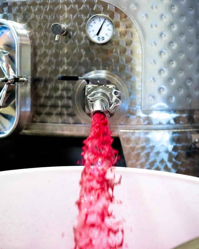 Clone 115 Pinot Noir 'Artist' 2021