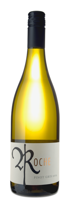 Pinot Gris 'Tradition' Willamette Valley 2024