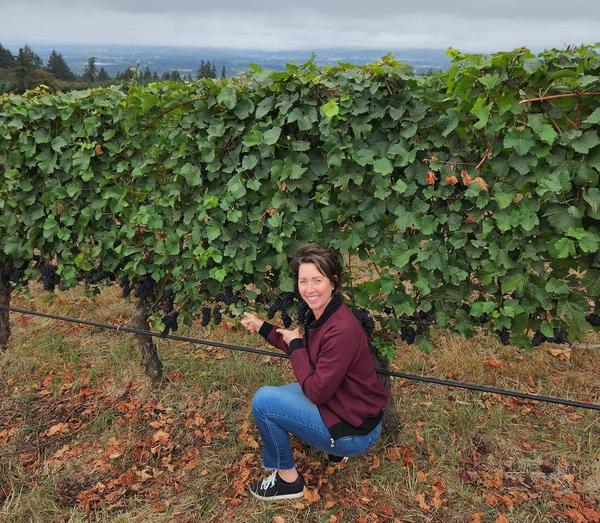 Pénélope Roche crouching beside a block of Pinot Noir vines at Winter's Hill in the Dundee Hills, Oregon