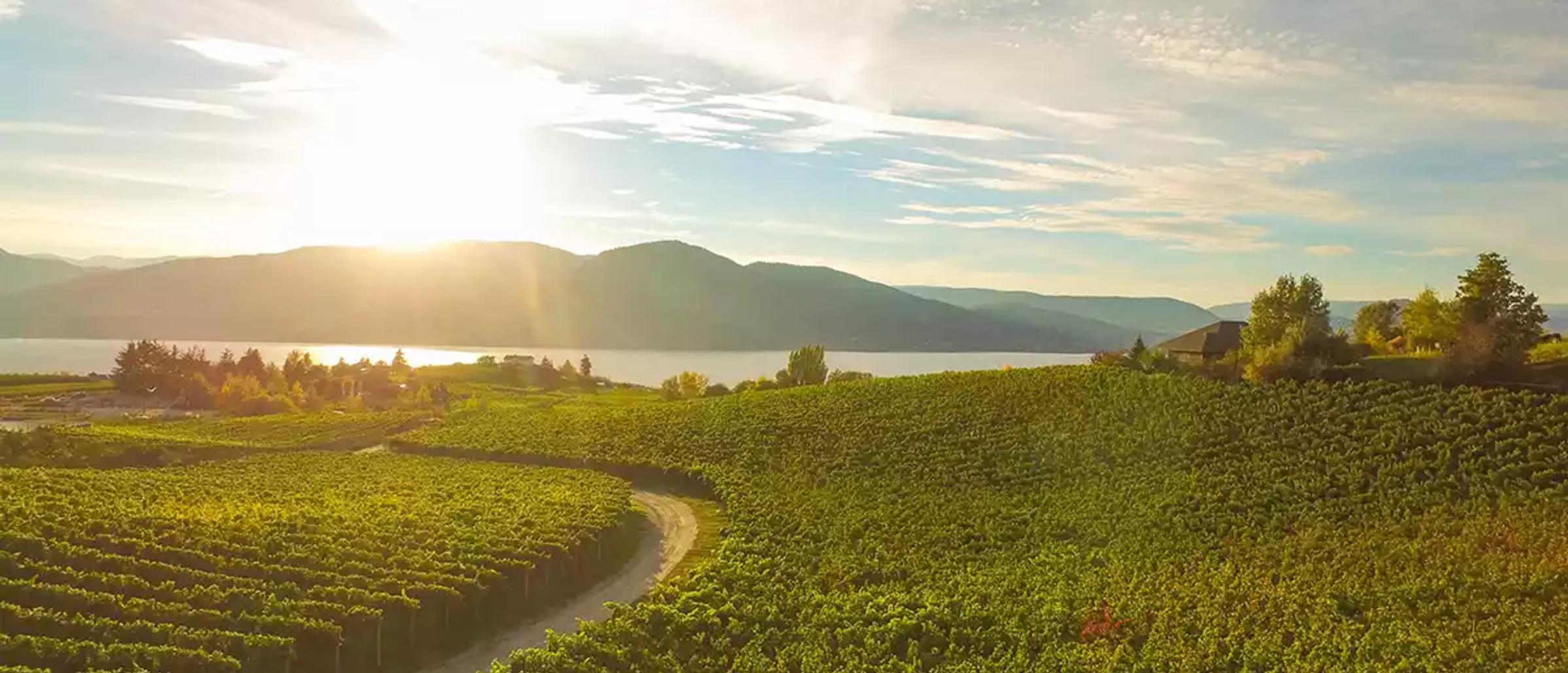 Naramata Bench