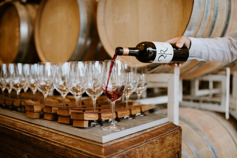 Pinot Noir: Past & Present