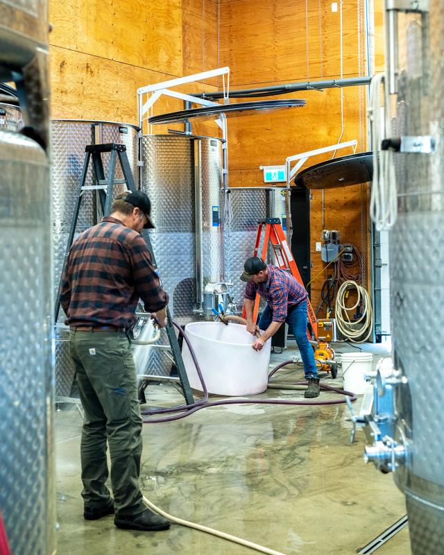 Syrah 2022