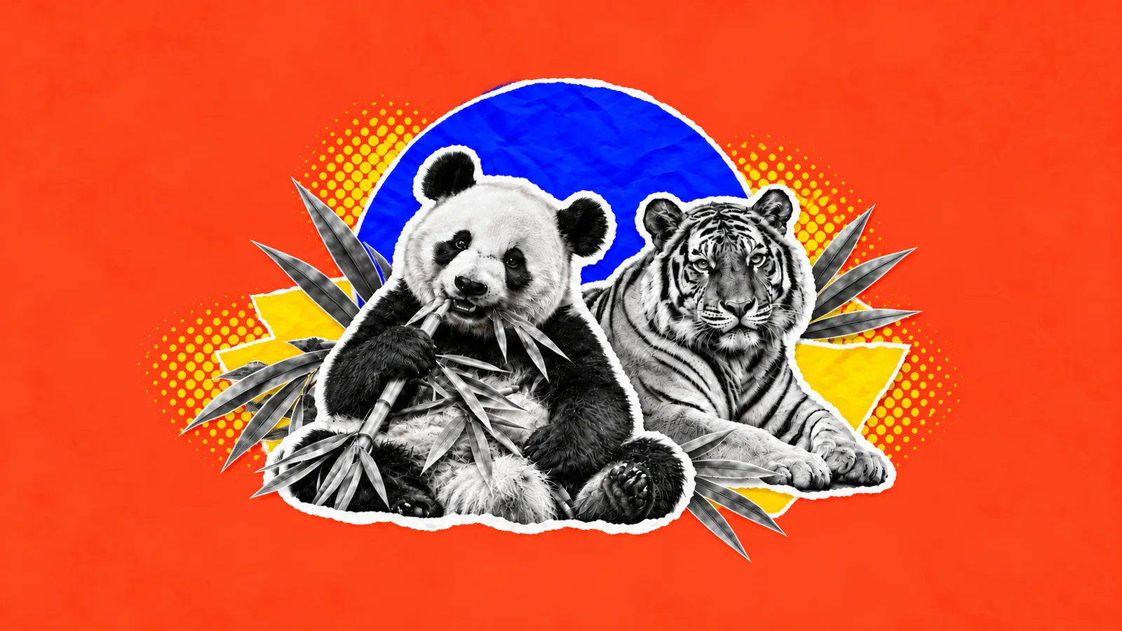 panda