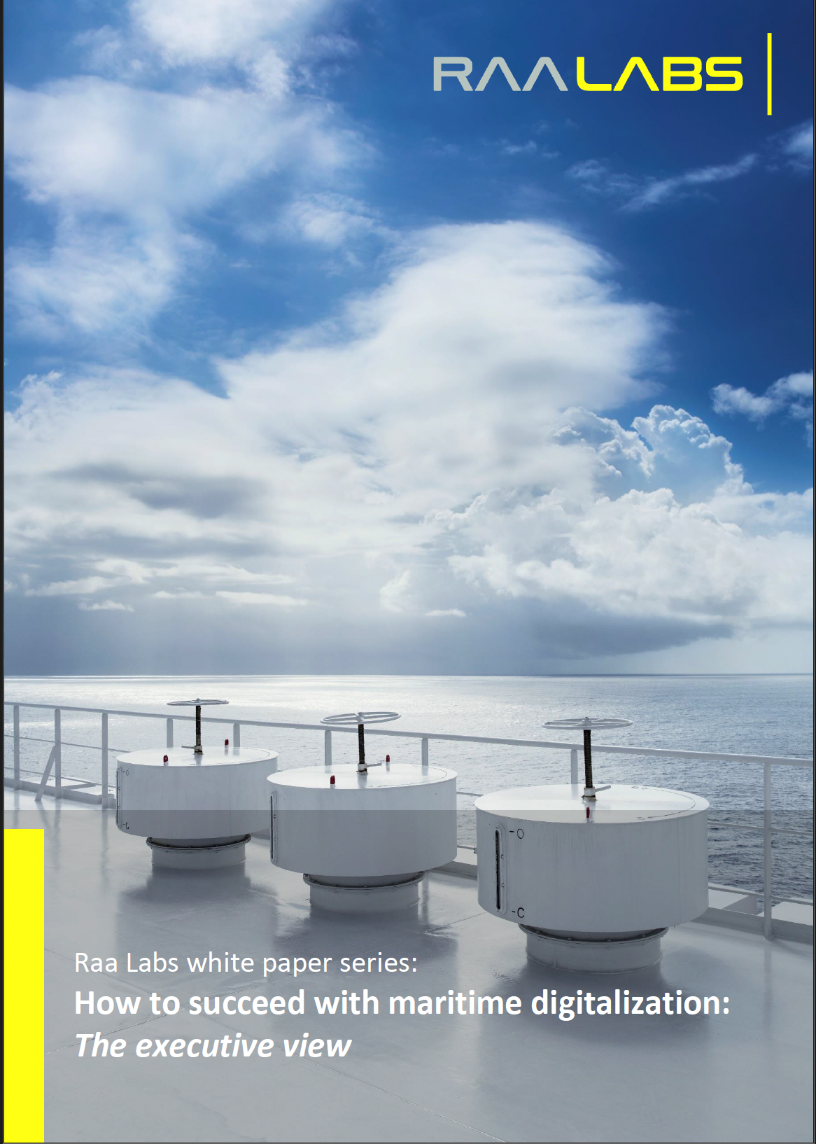 White paper: Succeeding with maritime digitalization