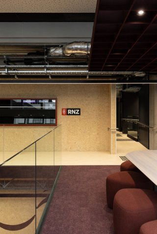 rnz_13.png