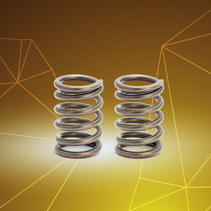 SRL 115 (F. Inj) / SRL 110 Valve Spring Set
