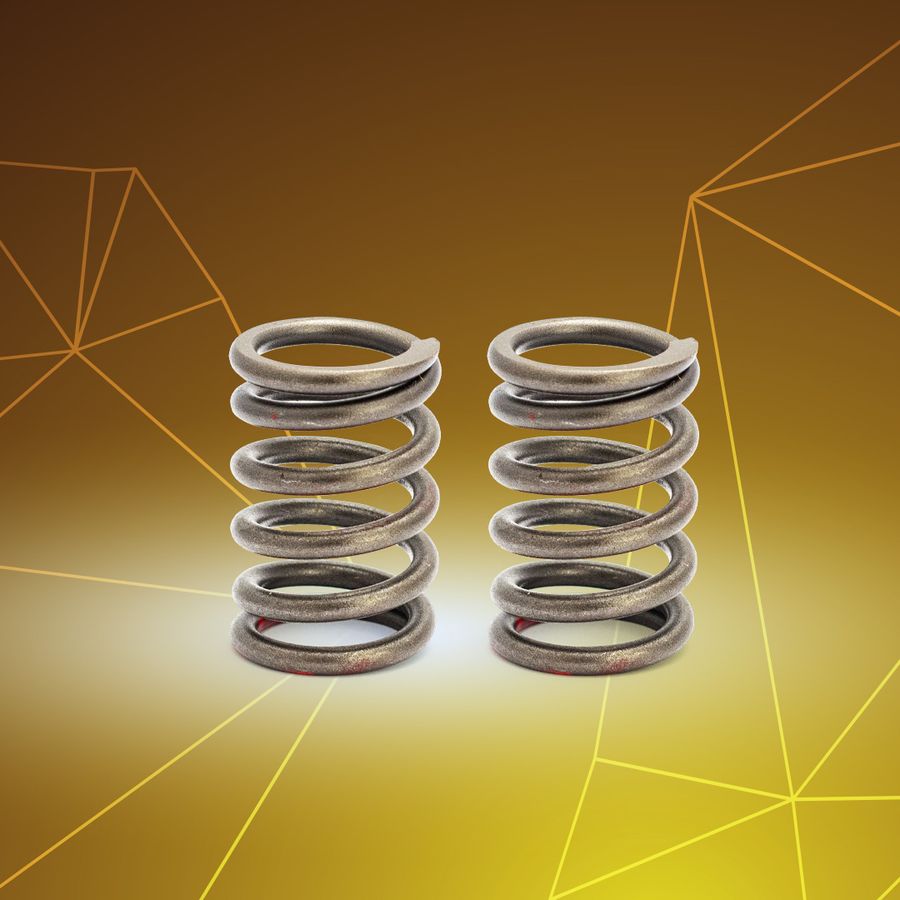 SRL 115 (F. Inj) / SRL 110 Valve Spring Set