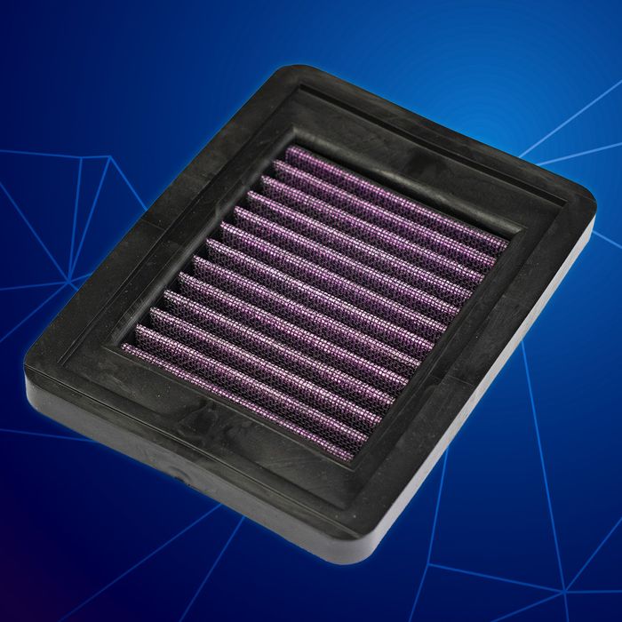 R25 Air Filter