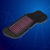 Ego-S (F. Inj) Air Filter