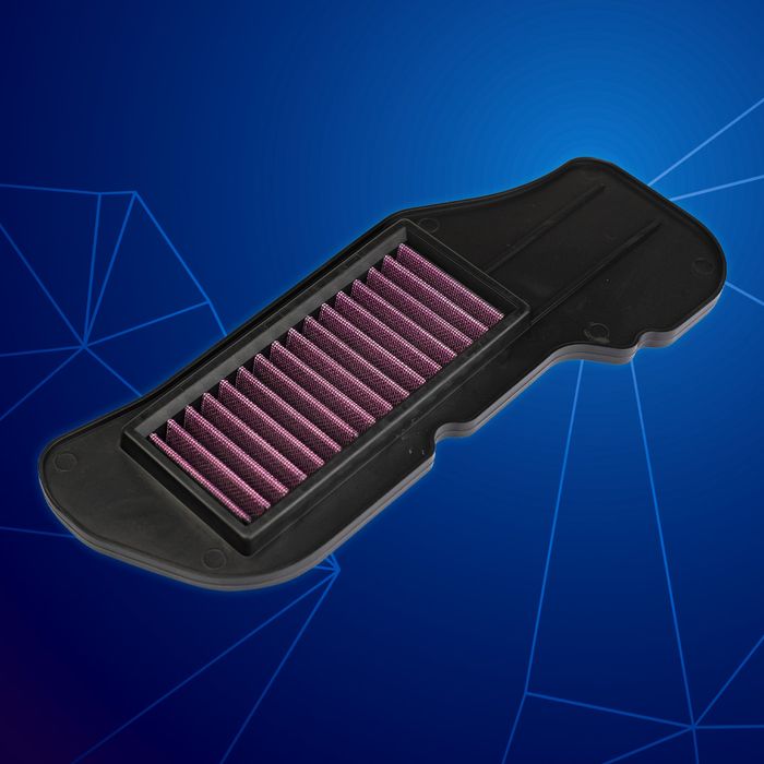 Ego-S (F. Inj) Air Filter