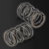 SR1 Clutch Spring