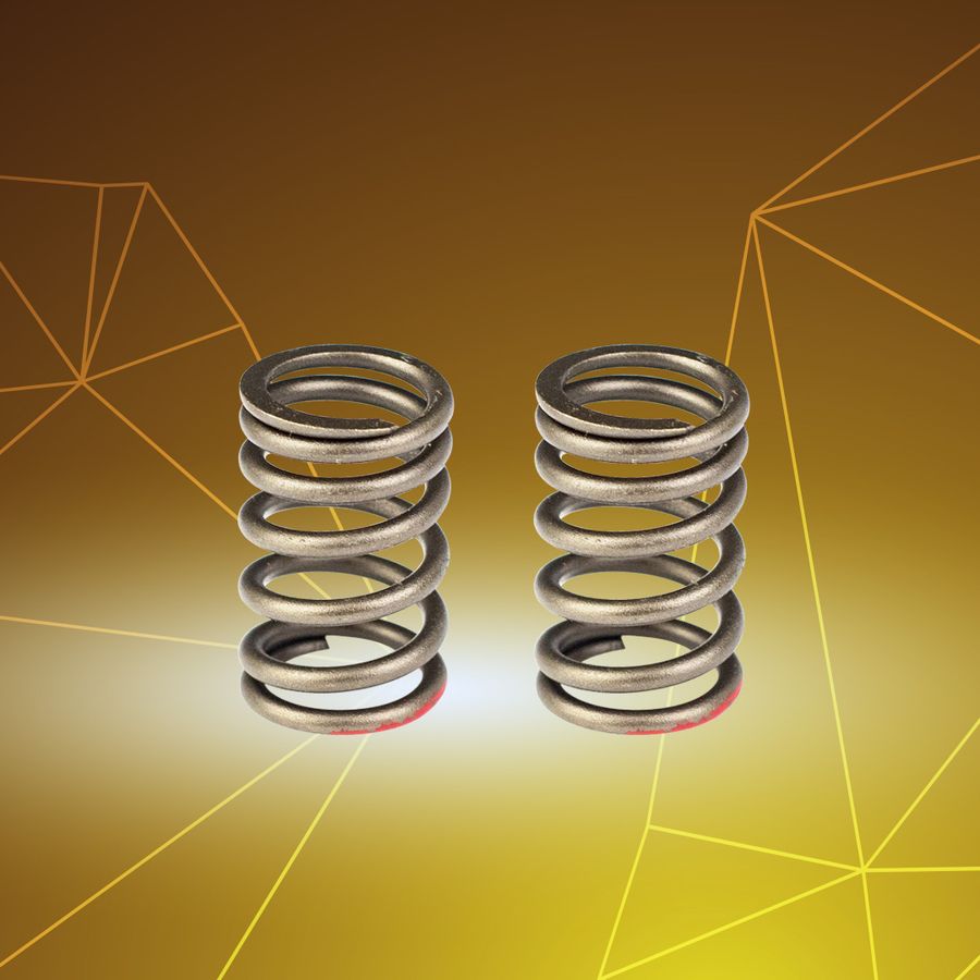 Dream / Wave 100 Valve Spring Set