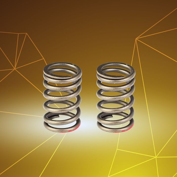 Wave 125 Valve Spring Set
