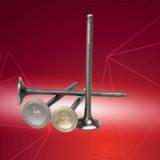 LC135 (SR3) In & Ex Valve