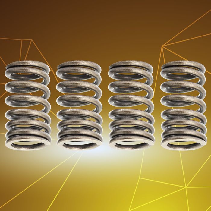 RS150 Valve Spring Set