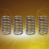 Y16ZR / NMAX / NVX Valve Spring Set