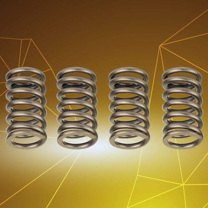 Y16ZR / NMAX / NVX Valve Spring Set