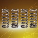 LC135 / FZ150 Valve Spring Set