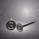 Dream In & Ex Valve