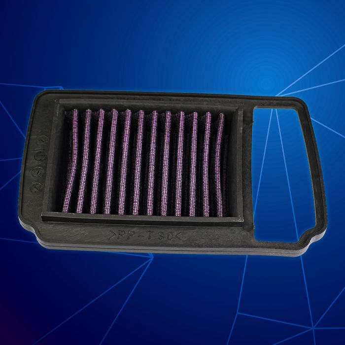 Ego Air Filter