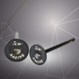 Kriss In & Ex Valve