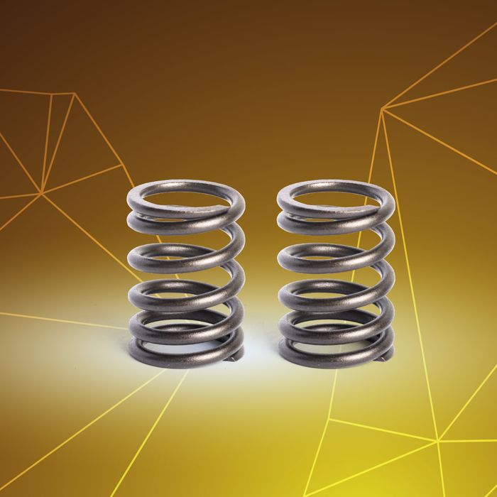 Wave 110 Valve Spring Set