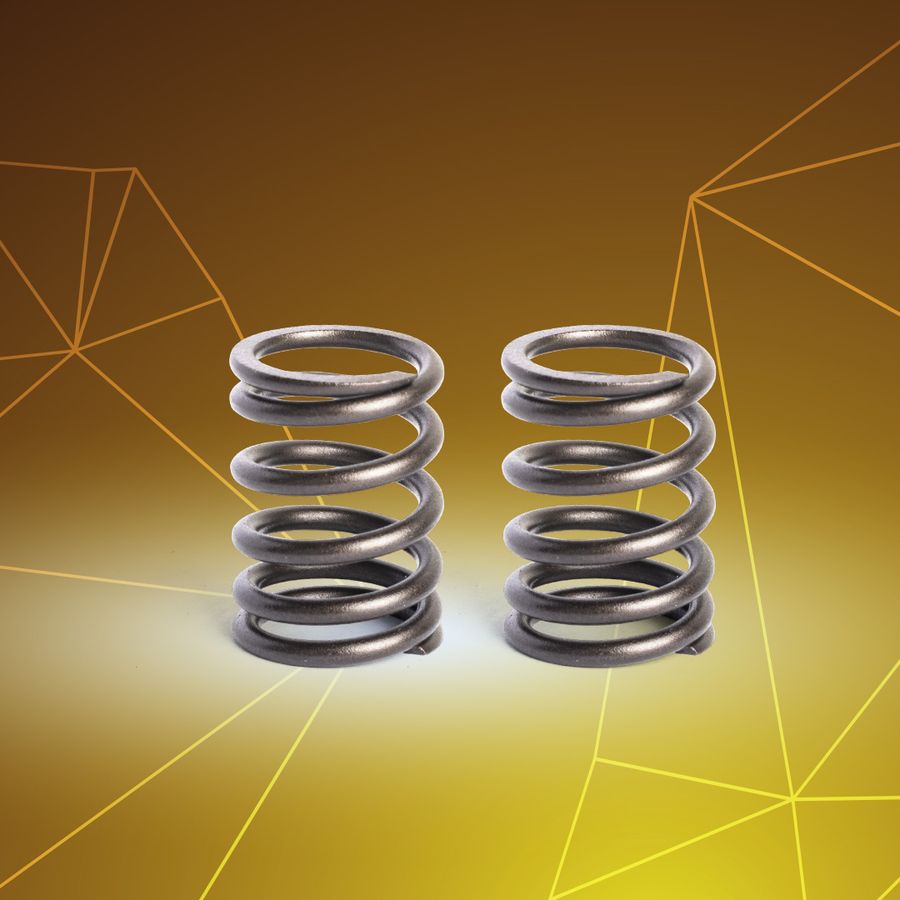 Wave 110 Valve Spring Set