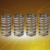 Y15ZR (LC150) Valve Spring Set