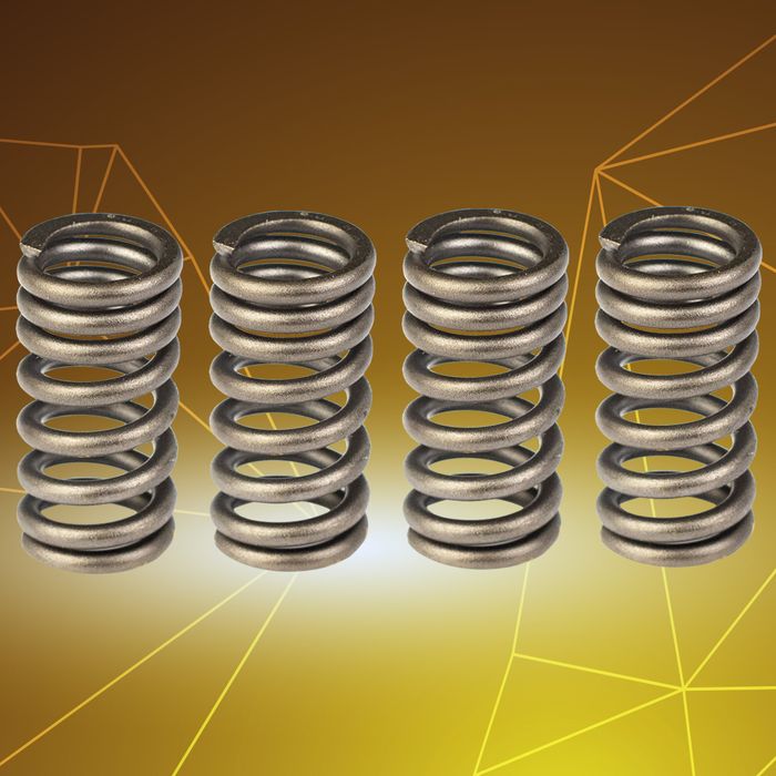 Y15ZR (LC150) Valve Spring Set