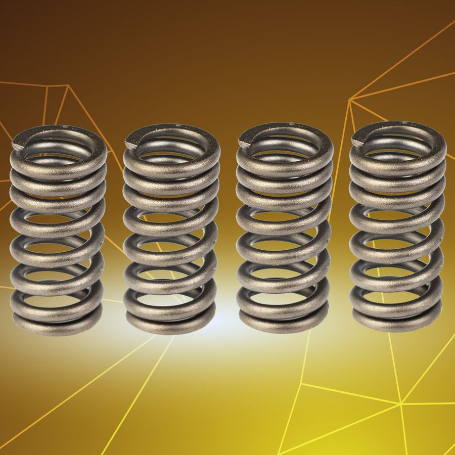 Y15ZR (LC150) Valve Spring Set