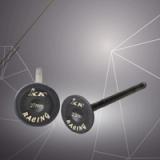 SRL 115 (F. Inj) In & Ex Valve