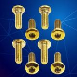 Gold Disc Brake Plate Bolt